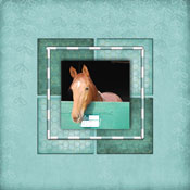 box bleu