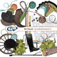 Embellissements du kit de scrapbooking