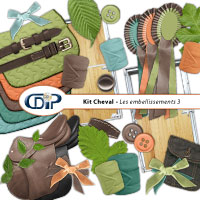 Embellissements du kit digital