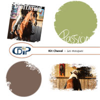 Masques du kit