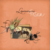 l'équitation ma passion