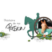 l'histoire de ma passion