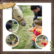 poney-club
