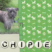 Chipie