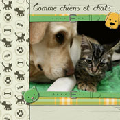 Comme chiens et chats
