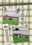 Gang de chats