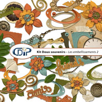Embellissements du kit de scrapbooking