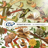 Embellissements du kit digital