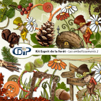 Embellissements du kit de scrapbooking