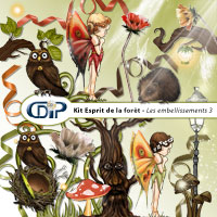 Embellissements du kit digital