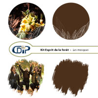 Masques du kit