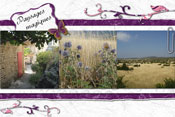 paysages magiques