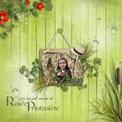 rosée