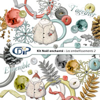 Embellissements du kit de scrapbooking