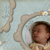 petit ange