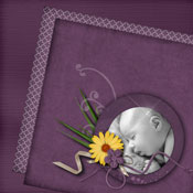sage comme une image
