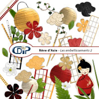 Embellissements du kit de scrapbooking