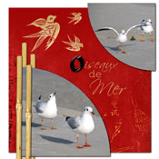 oiseaux de mer