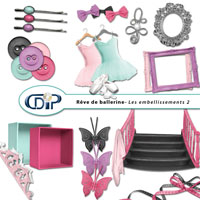 Embellissements du kit de scrapbooking