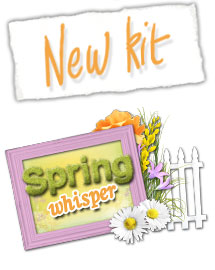 New scrapbooking kit
