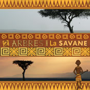 Arbres dans la savane