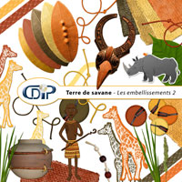 Embellissements du kit de scrapbooking