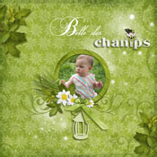belle des champs