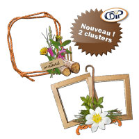 cluster du kit
