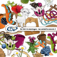 Embellissements du kit de scrapbooking