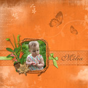 melia