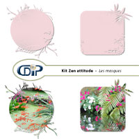 Masques du kit