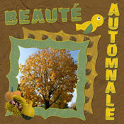 Beauté automnale