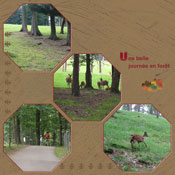 En forêt