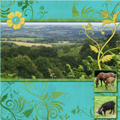 Campagne bretonne