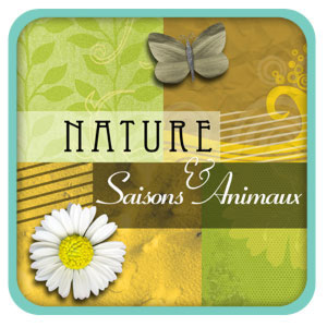 Les kits « Nature, saison et animaux »